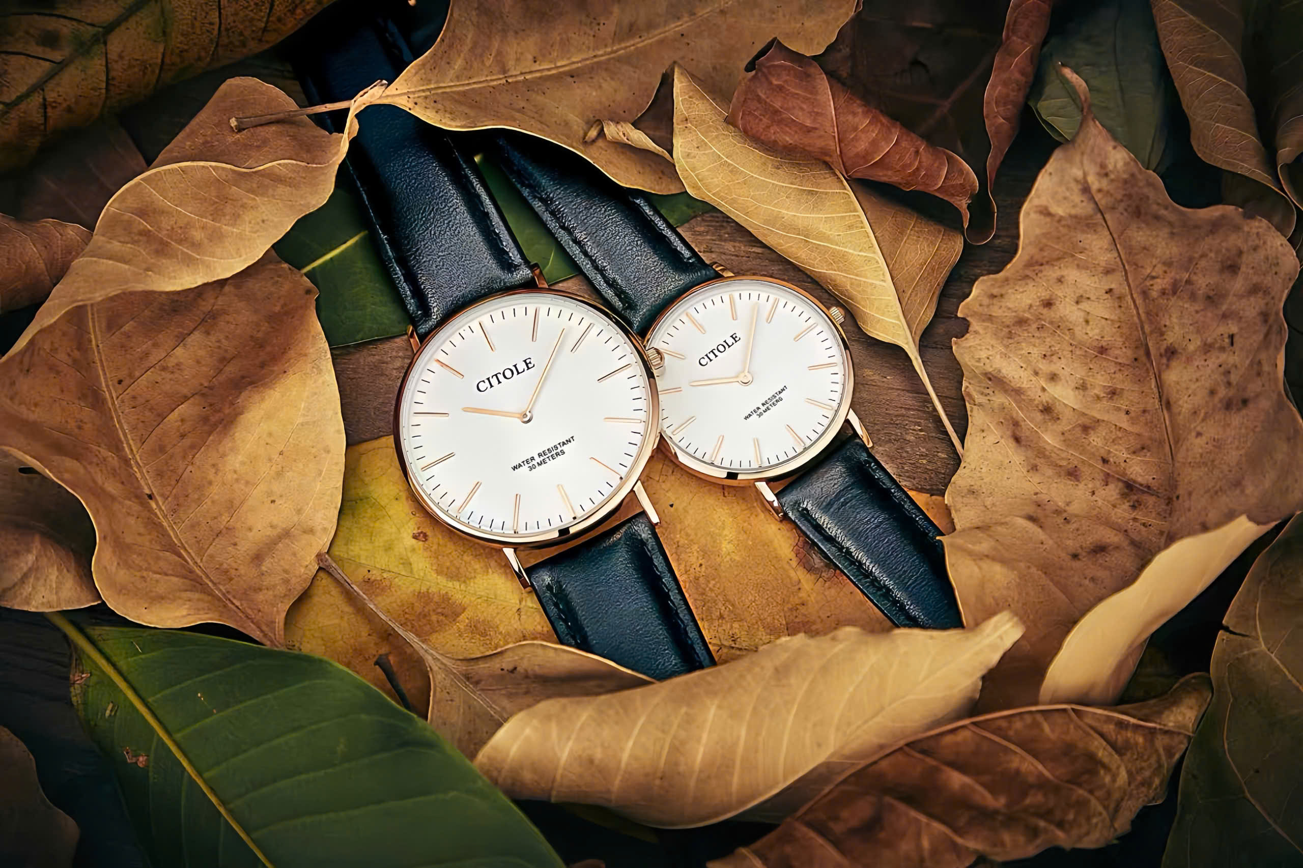 z7182961125331_f7492a8716a46b0c8556b452348c6b81